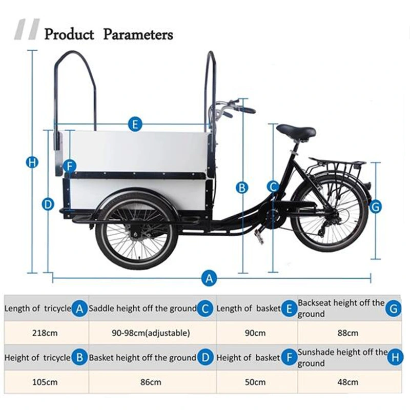 Electric Mobile Cargo Bike Trends Style White Color Motorized Tricycles for Adults Family Kids Children Scooter Customizable