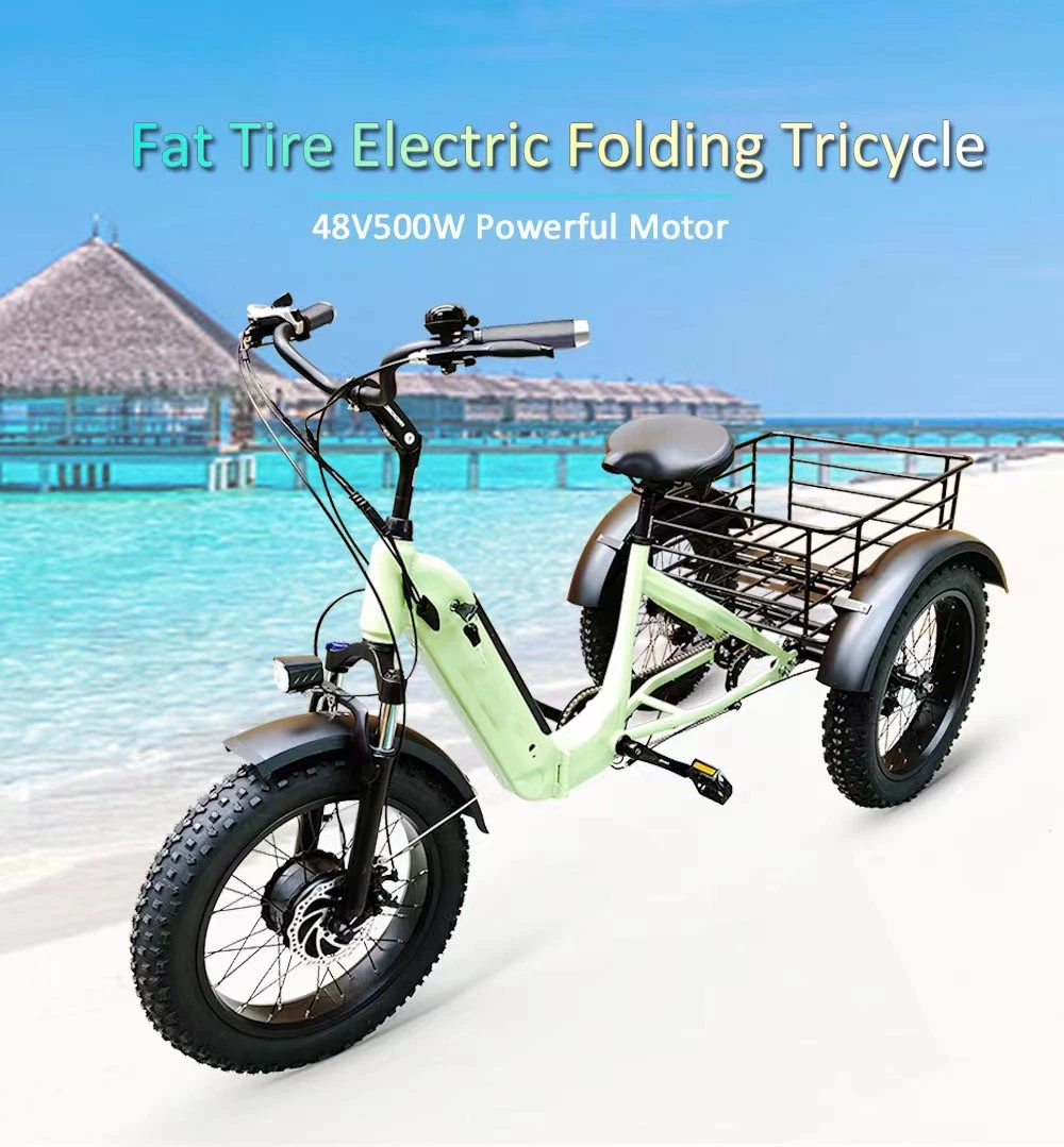 3 Wheel Cargo Ebike Foldable 48V 500W Fat Tire Folding E-Tricycle for Adults