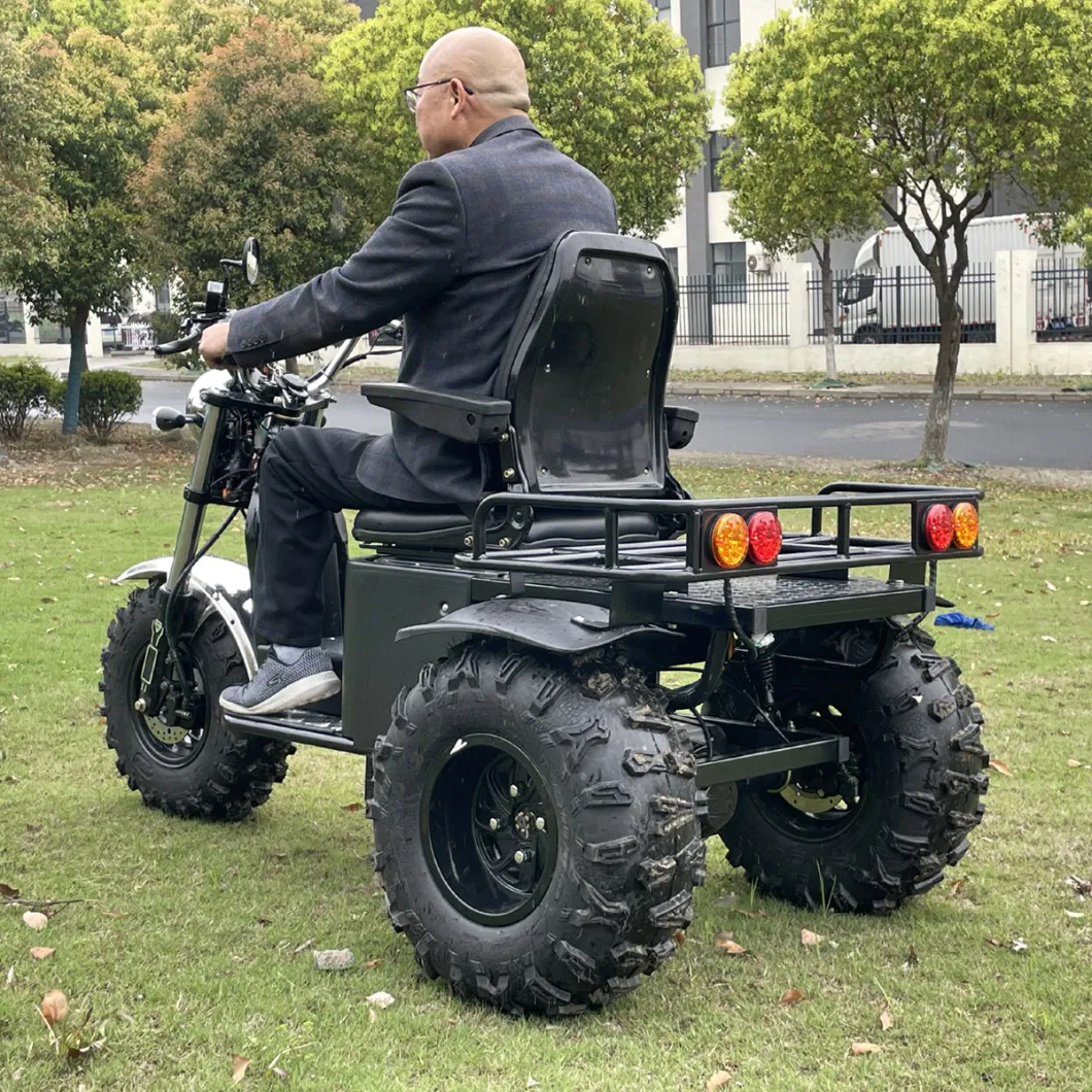 All Terrain Electric Scooter 3 Wheel Motorcycle for Mutilated