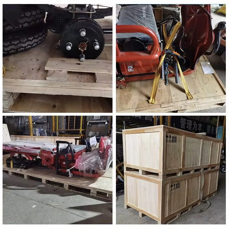 Top Supplier China Manufacture Heavy Carry Load Motorized 3 Wheel Cargo Motorcycle Tricycle Customized 200cc Gasoline Tricycle for Sale