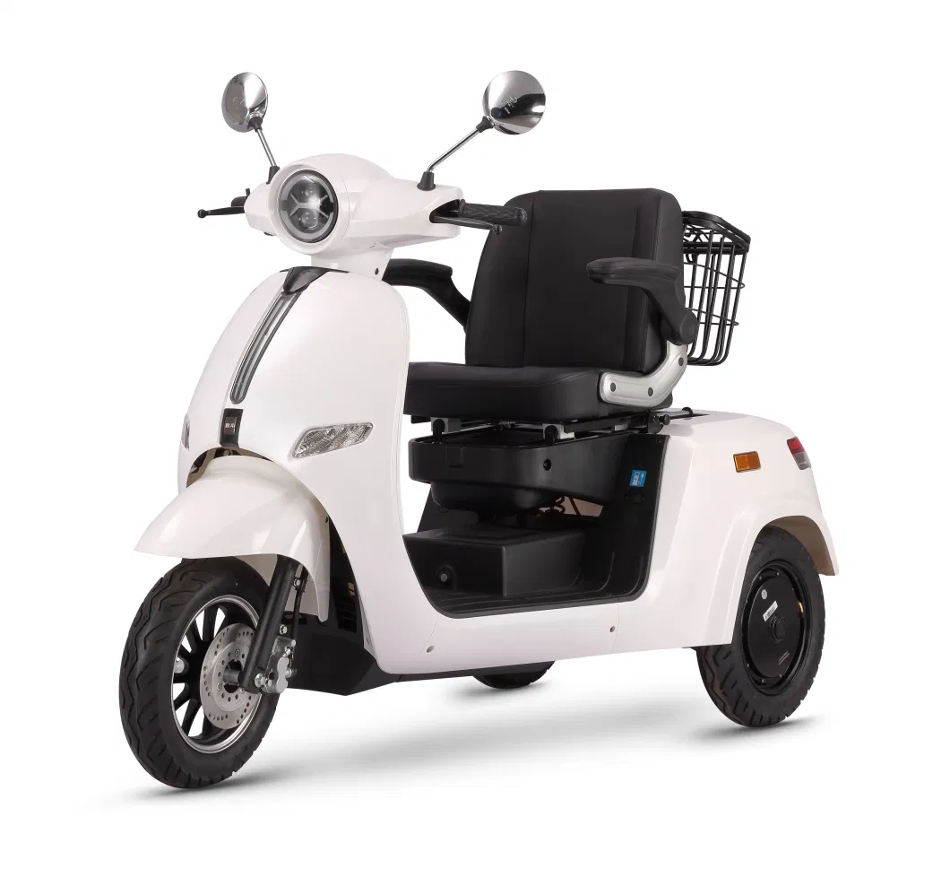 International Market Price Electric Adult Tricycle From China