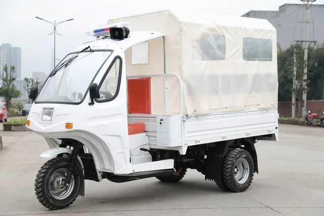 China Prodcut Ambulance Tricycle for Patient E-Rickshaw Passenger Threewheel Motorcycle Cargo