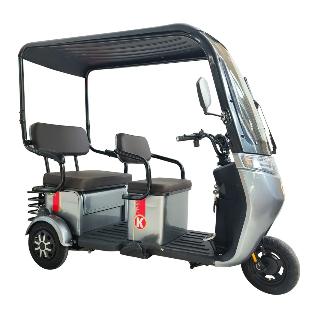 Willstar Ty378 Adult Electric Tricycle 3-Wheel One Driver and 2 Passenger Trike Chilwee 48V20ah Lead-Acid Battery Operated Integrated Shed, Windshild, Wiper