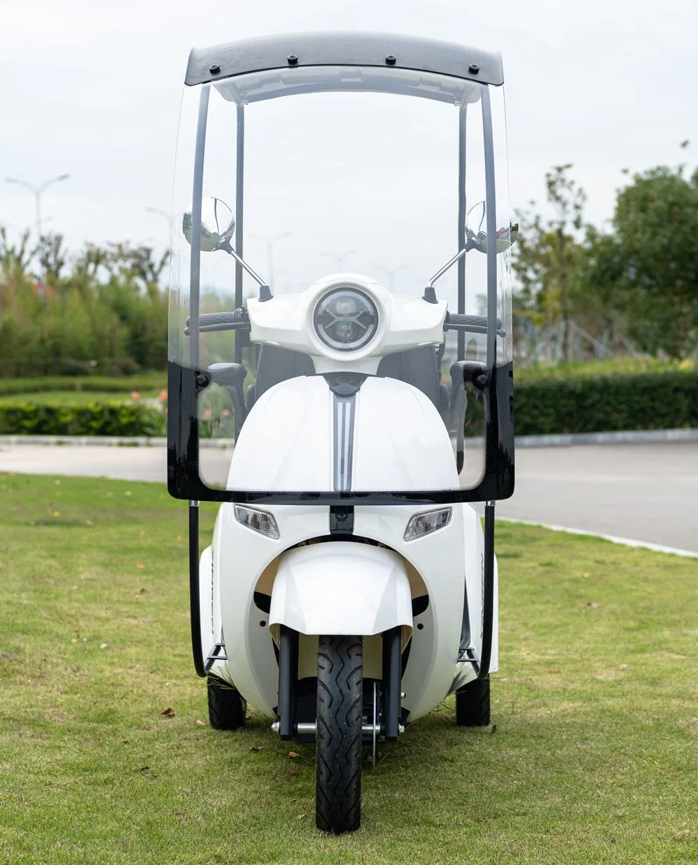 International Market Price Electric Adult Tricycle From China