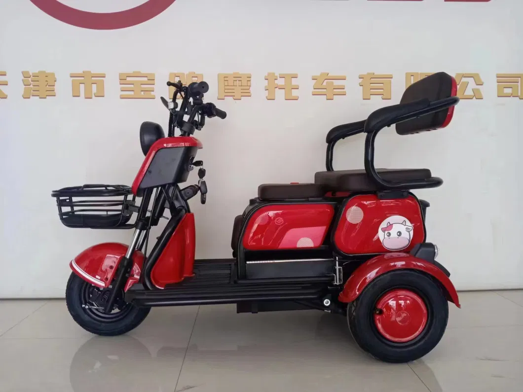 Electric Tricycle Small Rickshaw Passenger Tricycle 3 Seats