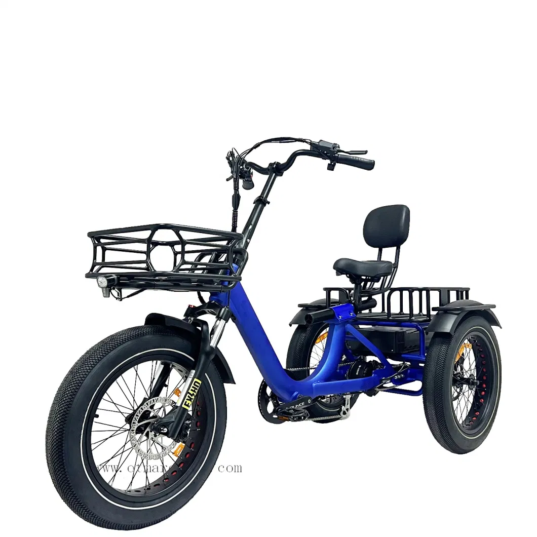 48 V 750 W Rear Drive Motor 20&quot; X 4.0 Fat Mountain Tire Big Power Camping Travel 3 Wheel Electric Bike Electric Trike