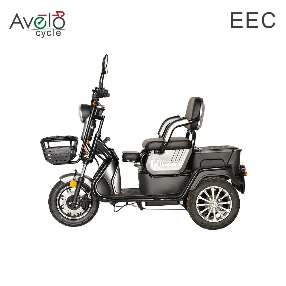 Mini 60V 1600W Mobility Scooter Old Man The Disabled Friendly Disc Brake Electric Tricycle