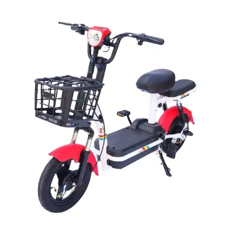 New Bike Motor Wheel Price Light Recumbent DIY Model Dutch Style 72V Used Hub 200 Kg Load Three Brazil 120km 3 Electric Bicycle