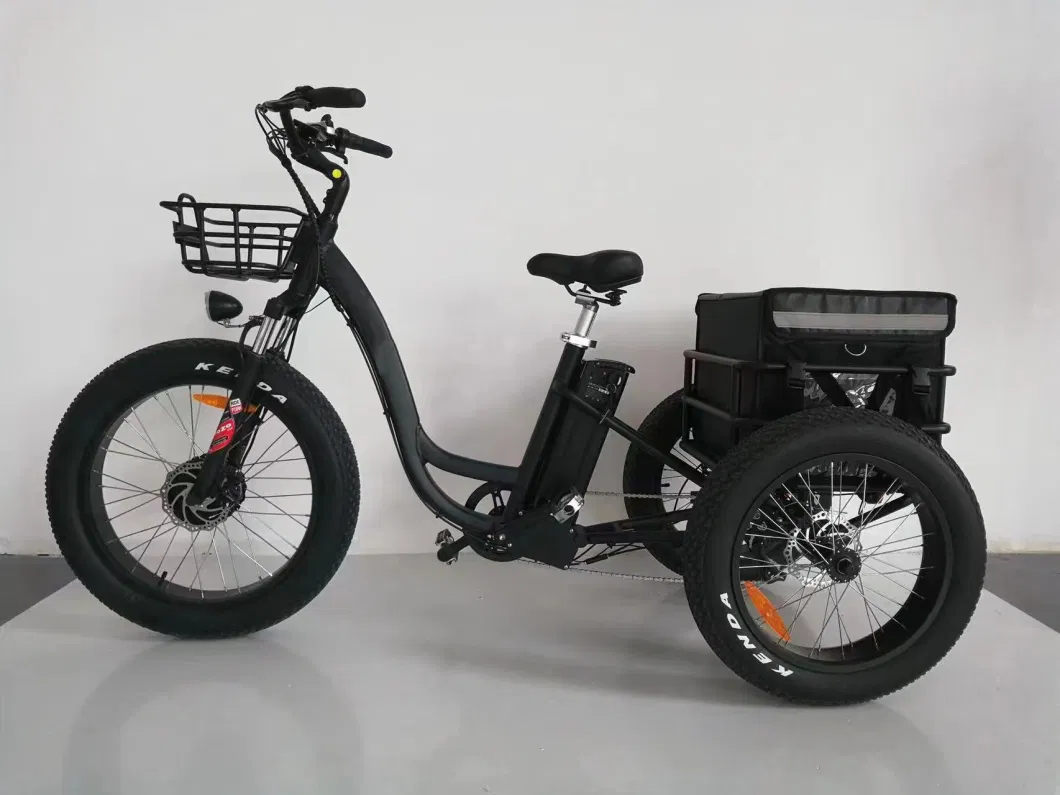 Adult 500W Motor 12.8ah Battery Electric Cargo Tricycle