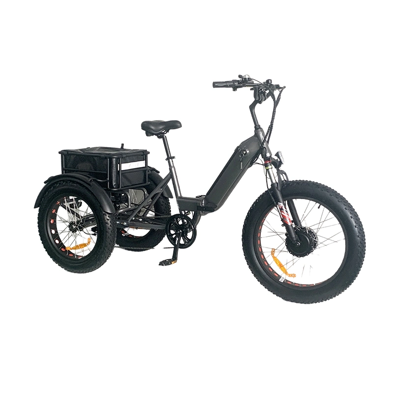 Bafang Motor for Passengers Fat Tire 4.0 Three Wheels Scooters 3 Wheel Passenger Adult 750W Electric Tricycles