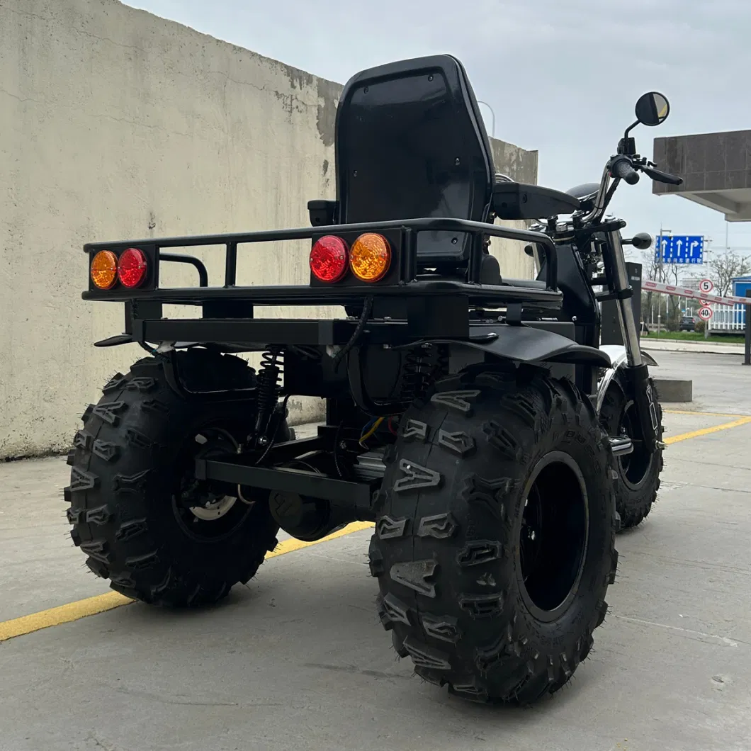 All Terrain Electric Scooter 3 Wheel Motorcycle for Mutilated