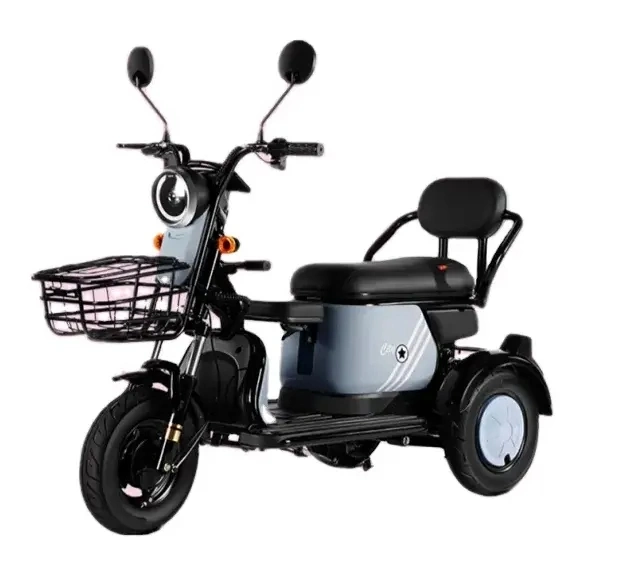 Good Quality Adult Aluminum Alloy 600W Electric Cargo Trike Vehicle Electric Tricycle for Seniors