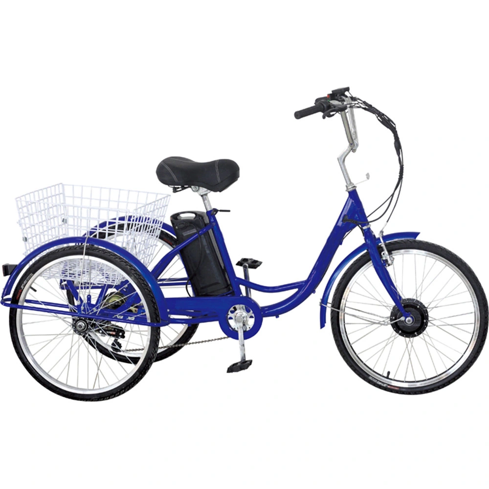 High Quality Electric Assist Tricycleelectric Tricycle Rickshawsegway Electric Tricycleelectric Tricycle Europe