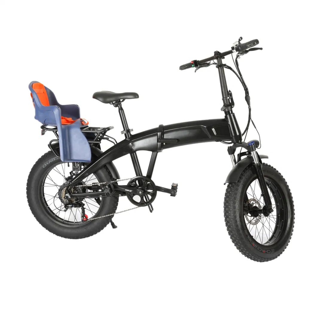 20inch Fat Tire Mountian Electric Bike City Bicycle Tricycle Vehicle E-Bike E-Bicycle Cargo Bike with Customized Mechanical Disc Brake