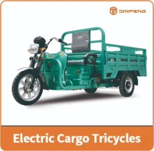 Jinpeng New Model 800W/500W Motorized 3 Wheel Electric Tricycle