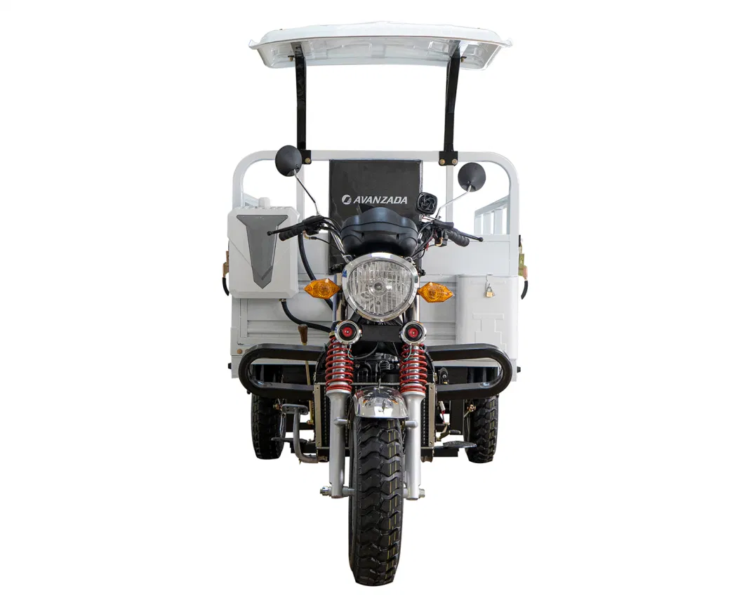 250cc Petrol Cargo Bike Motorized Gasoline for Adults Tricycle Petrol Cargo Bike