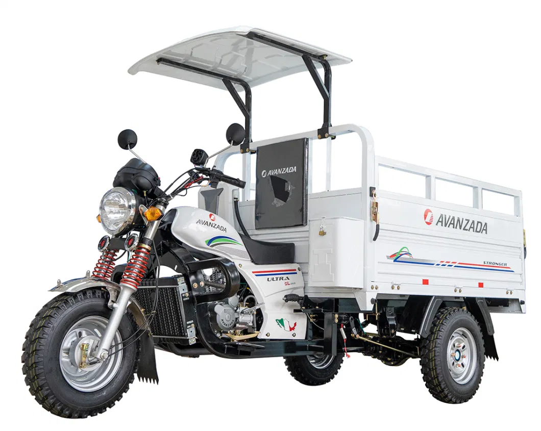 250cc Petrol Cargo Bike Motorized Gasoline for Adults Tricycle Petrol Cargo Bike