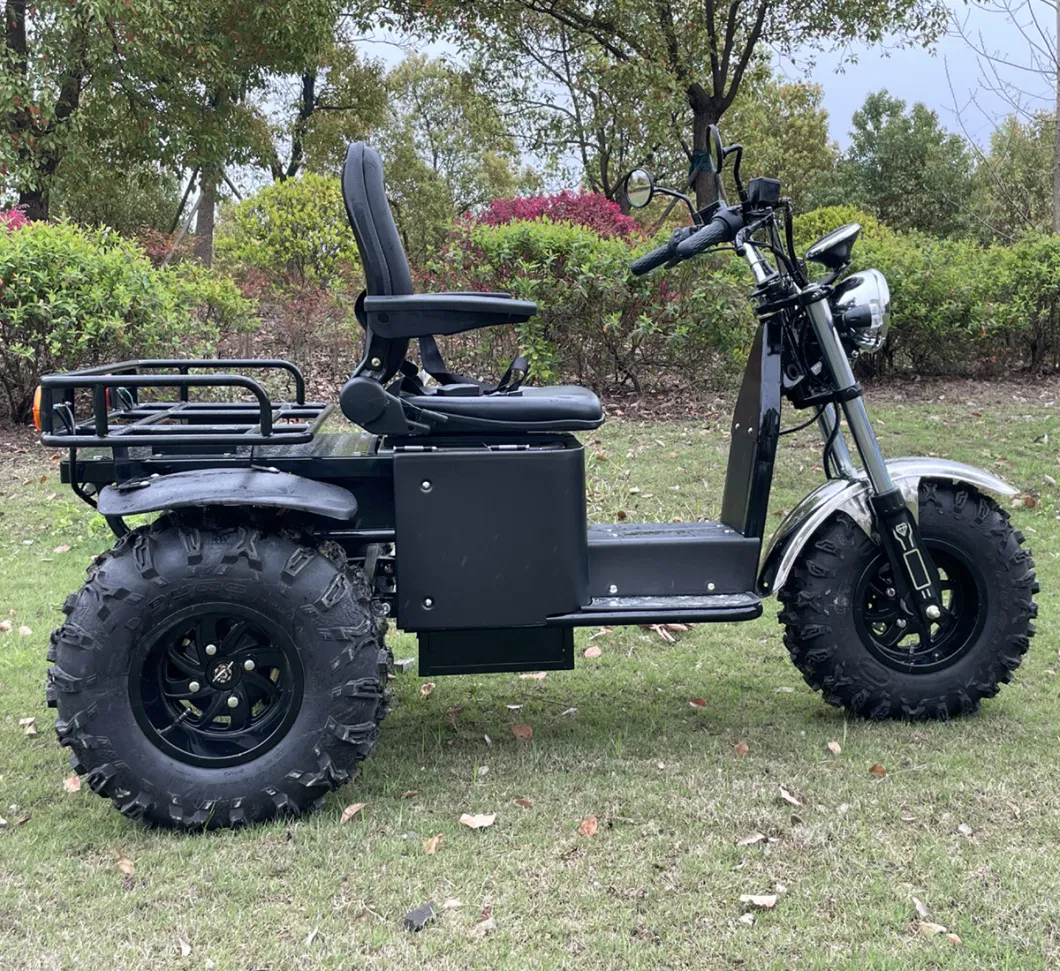 All Terrain Electric Scooter 3 Wheel Motorcycle for Mutilated