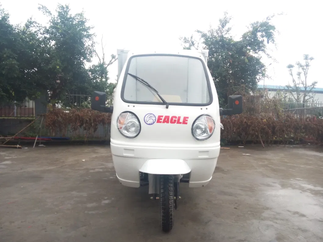 2022 New Gasoline Cargo 3 Wheel Tricycle Motorized Tricycle