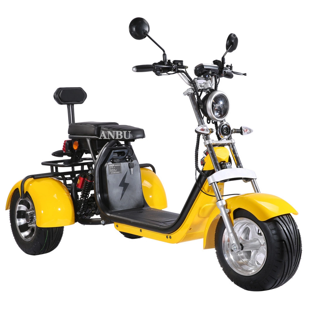 Electric Trike Fat Tire 3 Wheel Adult Electric Bike