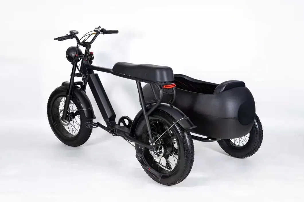 Extender Tricycle Battery Shaft Drive Chainless Electric Tricycles with Sidecar Motorized Tricycles Bike Adults for Sale