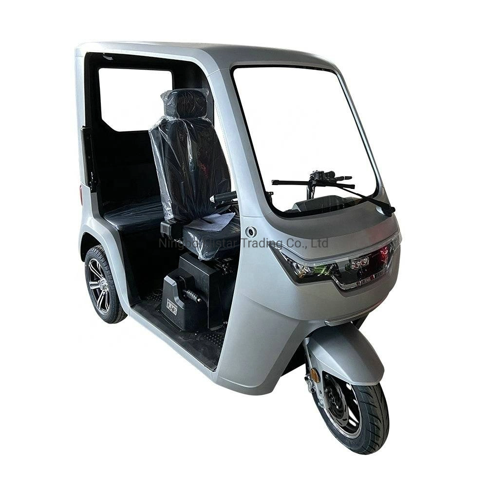 City Light Passenger Disabled Large Space Beautiful Fashion Small-Scale Electric Tricycle