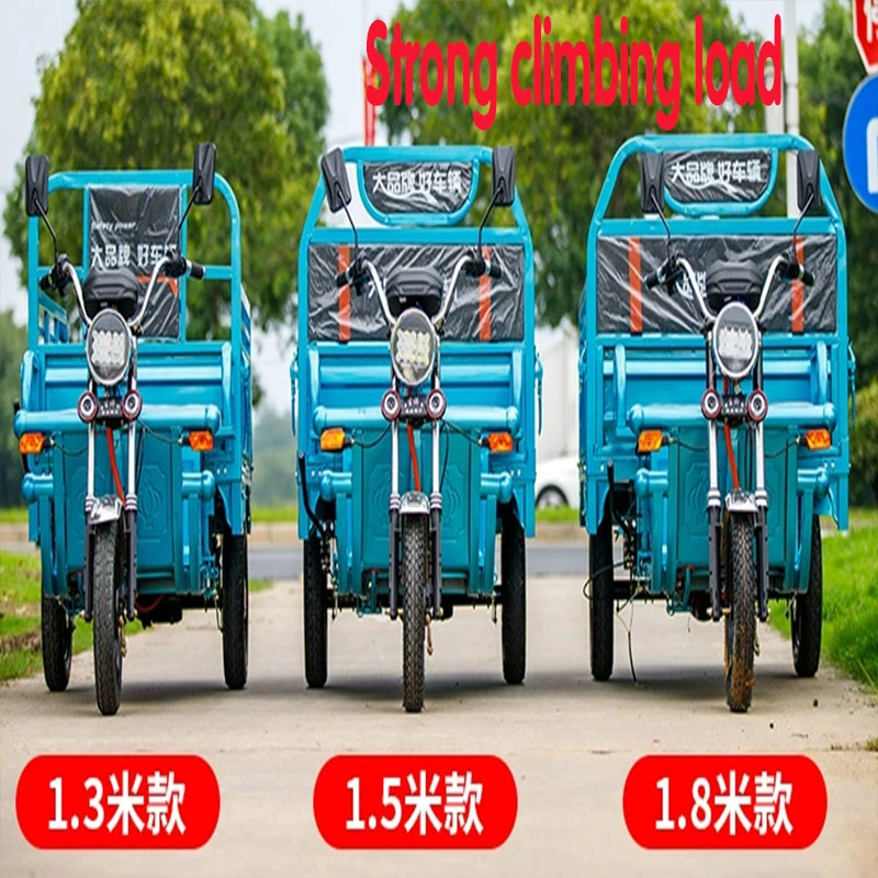 Electric Tricycle Vehicle, Heavy King Pulling Goods, Adult New Household Battery Car, Cargo Tricycle, Express Delivery Vehicle, Agricultural Vehicle