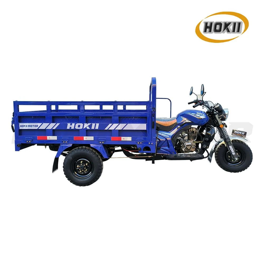 Fashion Design 250cc Triciclo Booster Rear Axle Heavy Load Gasoline Cargo Tricycle 3 Wheel Motorcycle Electric Tricycle Rickshaw for Sale