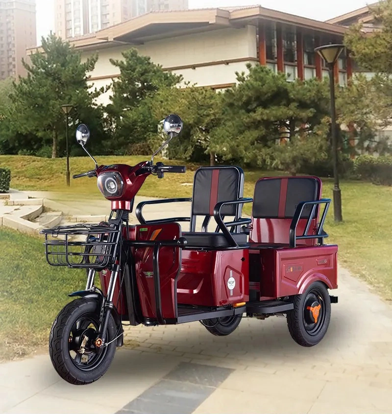 Best Folding Electric Tricycle for Seniors