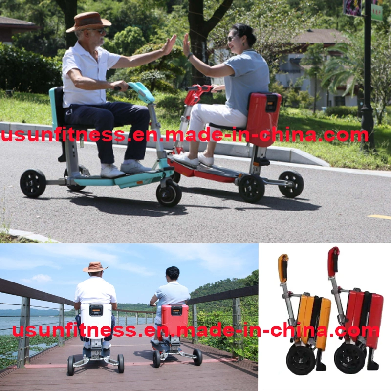 3 Wheels Folding Electric Tricycle Scooter Electric Bike with CE