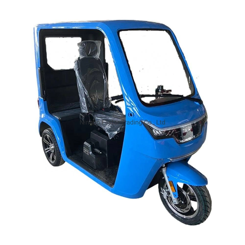 City Light Passenger Disabled Large Space Beautiful Fashion Small-Scale Electric Tricycle