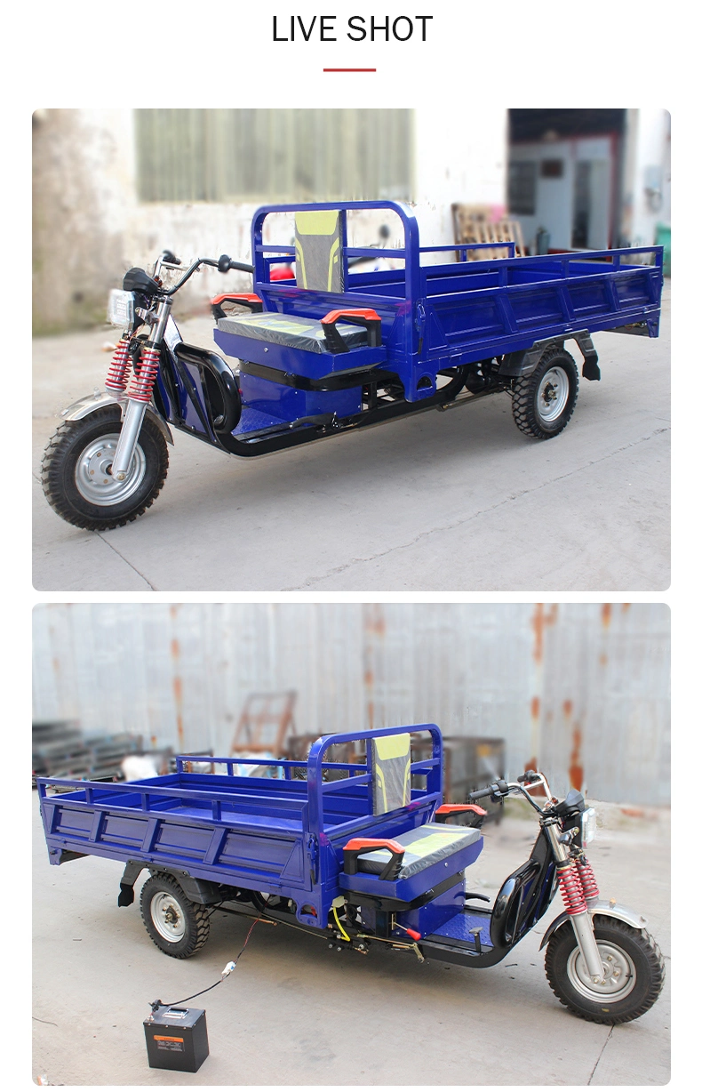 Engine China Construction Farm Adult Loader Wholesale Heavy Drum Brake Hand Drive China Passenger Vehicle Transport 2200W Three-Wheel Cargo Electric Tricycle