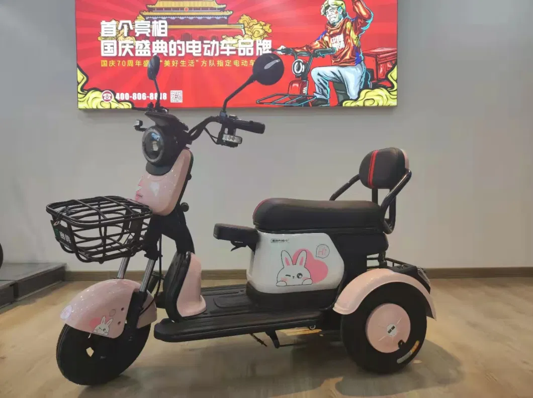 Leisure Electric Tricycle for Elder Passenger 50-70km Range Trike for Disabled People Smart and Foldable Seat