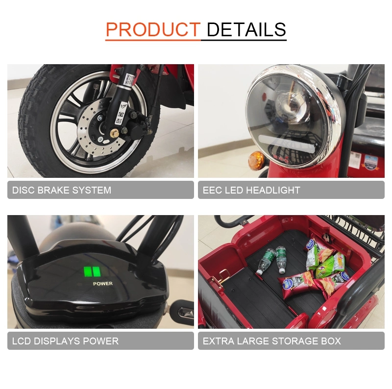 Hot Sale Electric Passenger Tricycle with EEC Certification Customized Services Leisure Trike for 3 Wheel Mobility Scooter Family Use Motor 800W