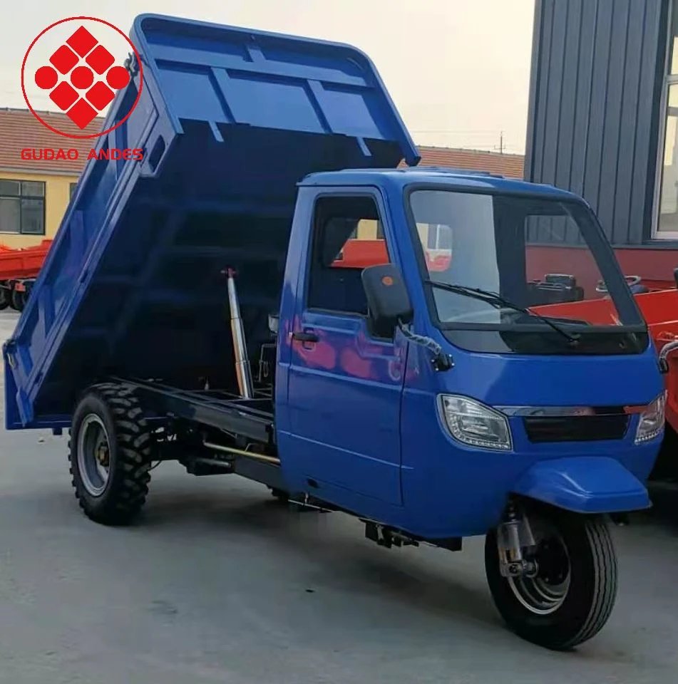 Wheel Motor Cargo Box Gasoline Adult Cargo Truck Motorized Tricycle