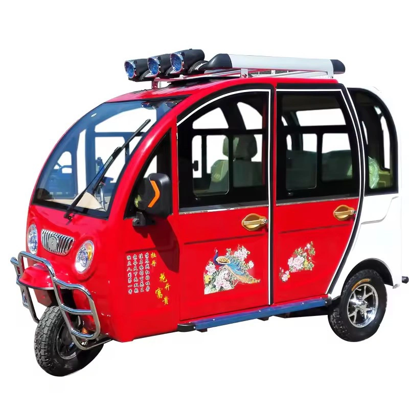 China Top Supplier Full Closed Cabin Electric Tricycle for Ladies Passenger Mobility Scooter 3 Wheel 60V 1000W