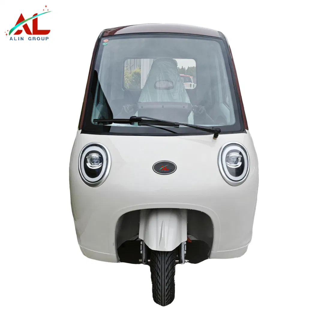 Hot Sale Car Tuktuk Electric Tricycle Bike Adult 3 Wheel Electric Bicycle