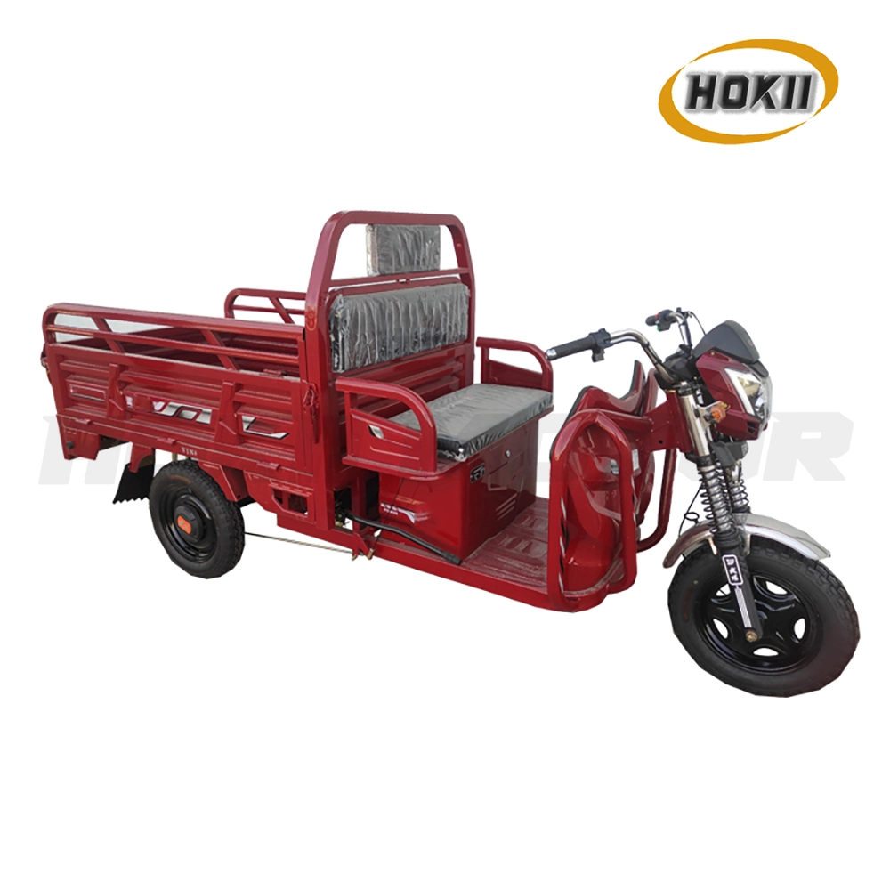 New Design Electric Tricycles Three Wheel Adult Electric Tricycle of Cargo Transport for Sale