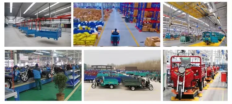 Factory Passenger Electric Tricycle for Adult Powerful Fat Tire Cargo Tricycle Electric Tricycle with Pedals