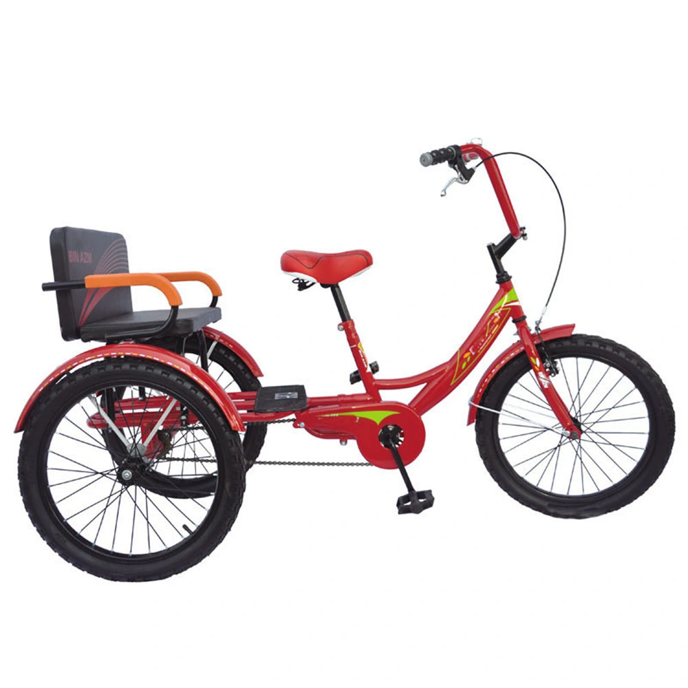 Electronic Tricycle for Adults Adult Folding Tricycle