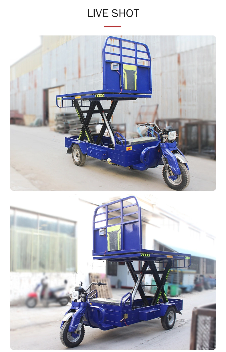 Electric Tricycles for Lifting Goods Three Wheel Adult Foldable 2000W