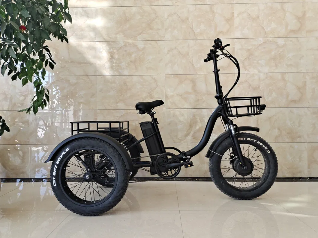 3 Wheel Electric Tricycle 20ah Battery Electric Motorcycle Three Wheel Electric Tricyle Scooter for Adult