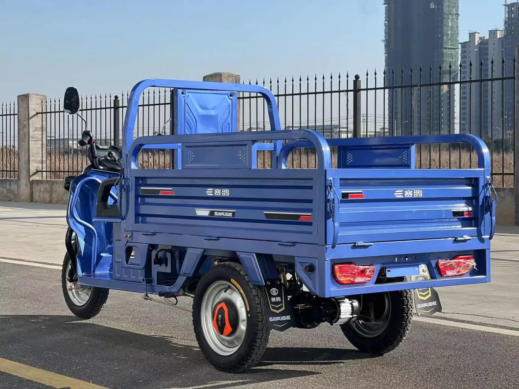 48V60V Cargo Tricycle with EEC Coc Europe and Asia Best-Selling Electric Tricycle for Farmer Adults with Lead-Acid Battery and Rechargeable