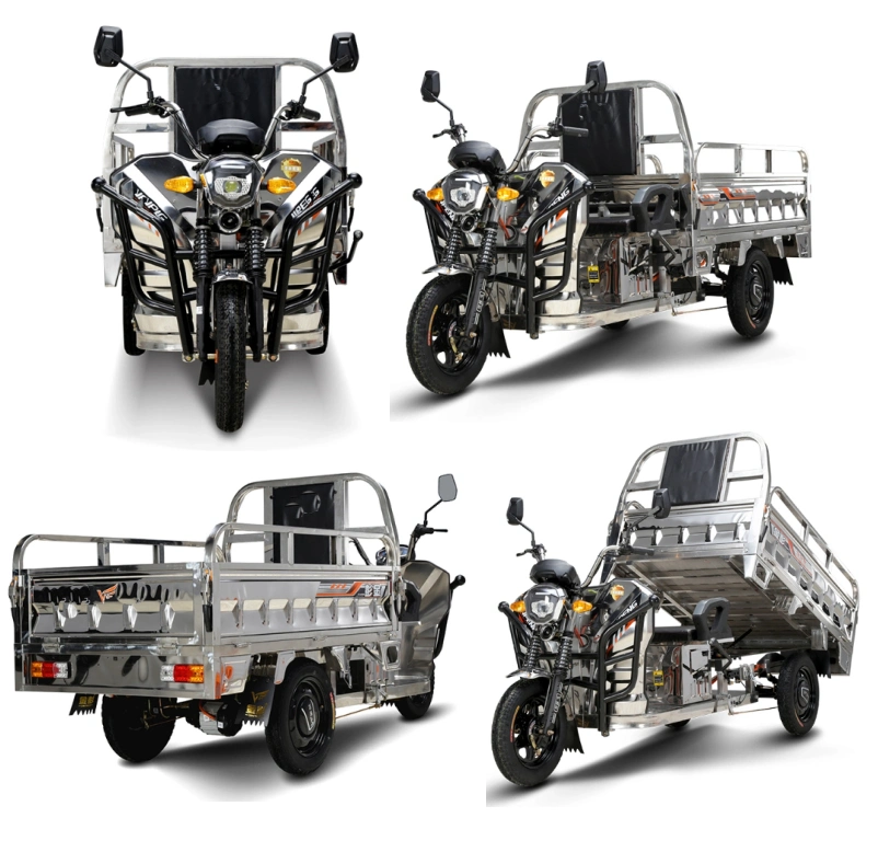 Electric Vehicle. Electric Passenger Tricycle, Electric Cargo Tricycle, Electric Motorcycle, Electric Mobility Scooter, Electric Tricycle Rickshaw