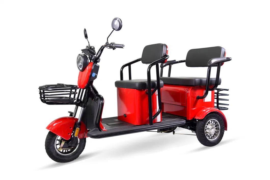 Wholesale Quality Trike Leisure Electric Tricycle for Elderly Mobility Scooter