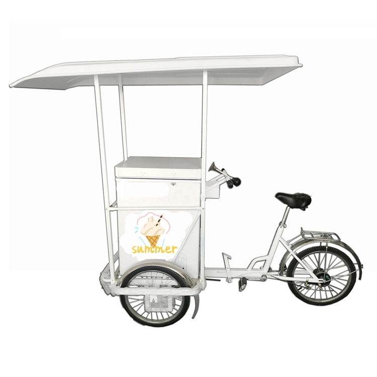 Ice Cream Bike Cart with Freezer Electric Tricycles