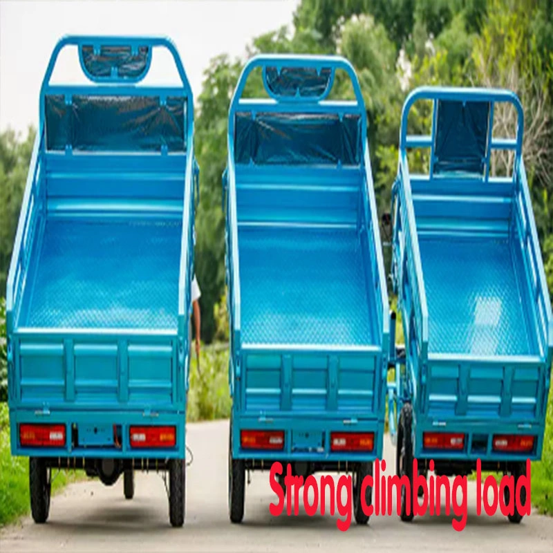 Electric Tricycle Vehicle, Heavy King Pulling Goods, Adult New Household Battery Car, Cargo Tricycle, Express Delivery Vehicle, Agricultural Vehicle