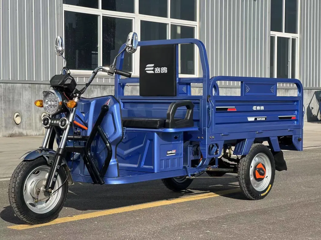 48V60V Cargo Tricycle with EEC Coc Europe and Asia Best-Selling Electric Tricycle for Farmer Adults with Lead-Acid Battery and Rechargeable