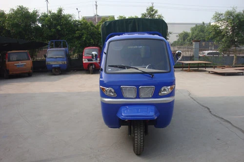 China Adult Motorized Tricycle Jm Style