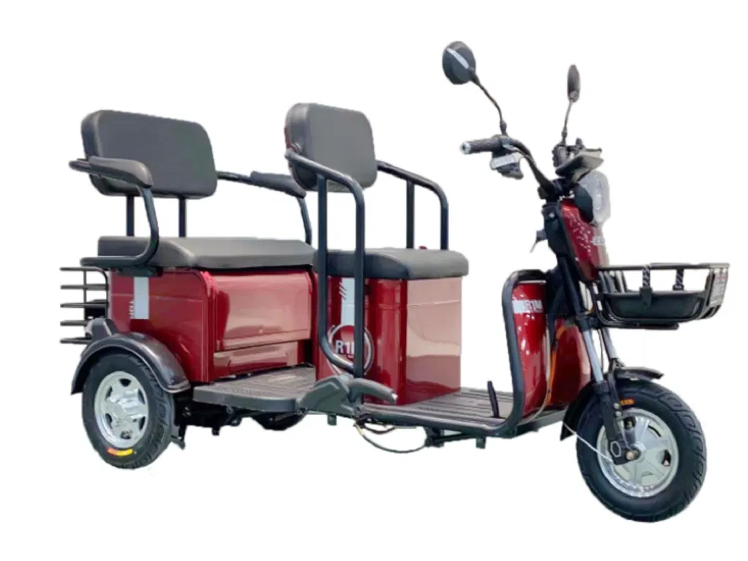 3 Wheel Light Electric Passenger Scooter Tricycle for Adult by EEC Certification